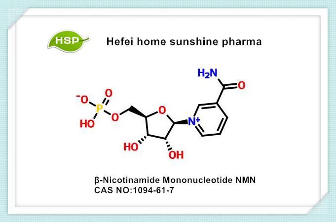 Β-nikotinamid mononukleotid NMN CAS 1094-61-7