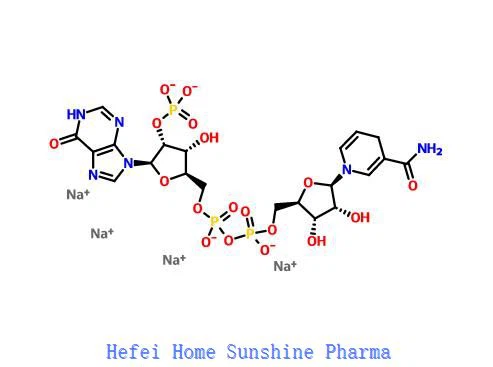 Nikonatimid hipoksantin dinukleotid fosfat redukovana tetrasatrijumova sol NADPH CAS 42934-87-2