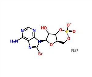8-Bromoadenozin 3',5'-ciklički monofosfat natrijeva sol CAS 76939-46-3