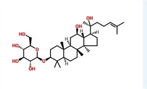 Ginsenoside Rh2 CAS 78214-33-2