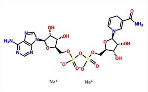 β-Nikotinamid Adenin Dinukleotid disodij sol NADH CAS 606-68-8